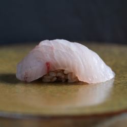 五条鰤