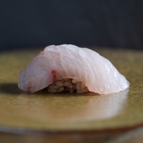 カンパチ