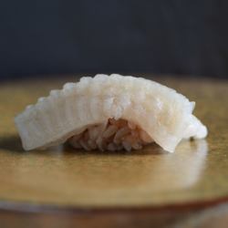 比目鱼鳍