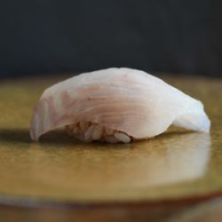 比目鱼