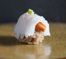 鱿鱼和海胆