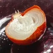 这肯定是洋葱