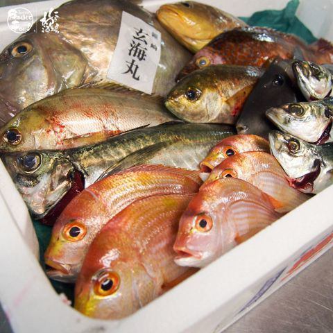 全国10カ所以上の漁港や産地より毎日新鮮な魚を入荷！