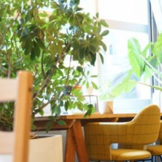 2名掛けのテーブル席が4席あります。