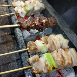 〈鶏〉特選もも/レバー/とり皮/砂肝/はつ/せせり/肉付きやげんなんこつ