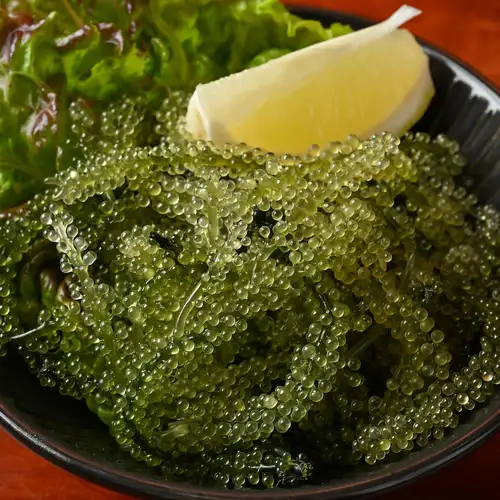 海ぶどう