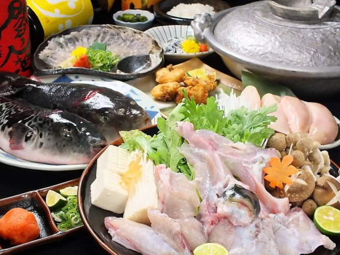 슈퍼 추천! 【만복 토라 복어 코스】 6420 엔 + 1580 엔으로 음료 무제한 포함 가능