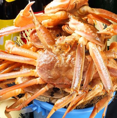 Famous item!! Crab bucket