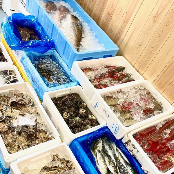 店内1階の直売スペースでは漁港直送の地魚はじめ相模湾の鮮魚や旬の魚など鮮魚直売もしております。BBQ向けの海鮮食材なども店内でご購入いただけます！