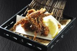 Deep-fried squid