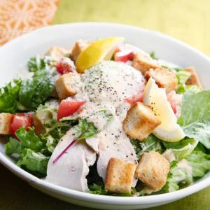 朝どれ野菜のシーザーサラダ