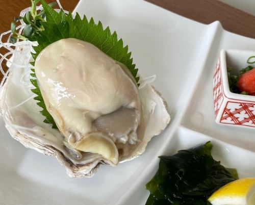五月開始供應天然海牡蠣菜餚