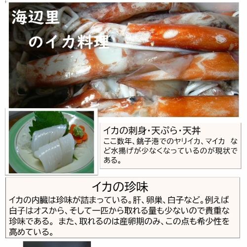 イカ料理