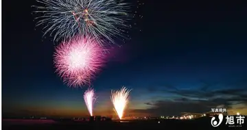 横から見るか！2026飯岡花火！観賞募集中！