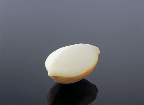 水果柠檬冰糕