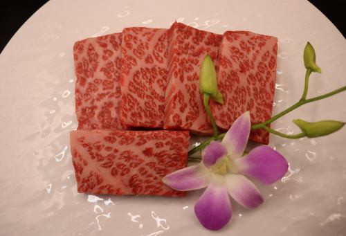 和牛座布顿（Splash）