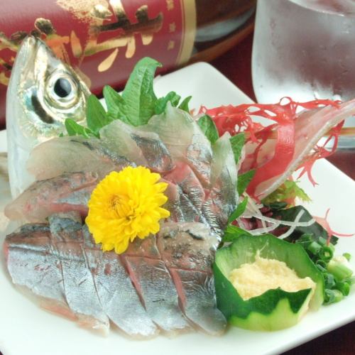 Sasan specialty! Activity of horse mackerel ★