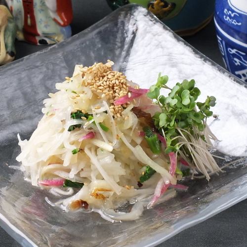 Jellyfish and red radish salad