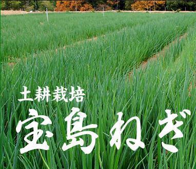 [Kurahashi-cho Takarajima green onion] is used.Cultivated on a dedicated farm ★