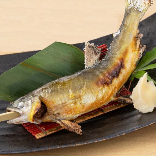 Grilled salted sweetfish