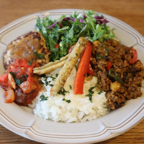 【3/16～】キーマカレー＆ハンバーグ～ラタトゥイユとケールサラダ、にんじんとごぼうのフライ、スープ付～