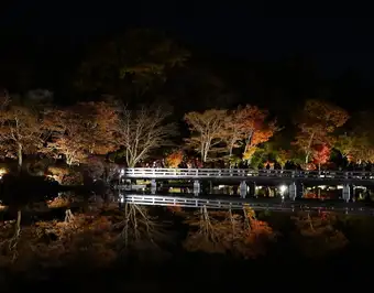 【昭和記念公園コラボ企画】～秋の夜散歩特別観覧券付き秋の記念日コース～ 先着5組限定
