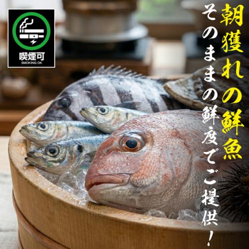 精選最新鮮的魚，由技藝精湛的工匠精心挑選。