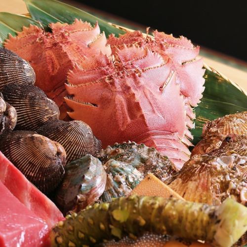 鮮度を極めた魚
