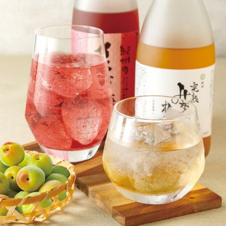 【梅酒飲み放題】2時間飲み放題プラン　約46種　1815円(税込)