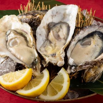 【兵庫県播磨灘産】殻付き生牡蠣/殻付き焼き牡蠣 各1個