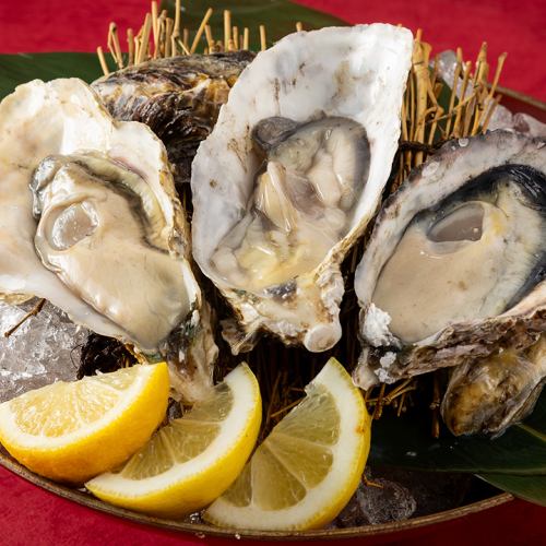 【兵庫県播磨灘産】殻付き生牡蠣/殻付き焼き牡蠣 各1個