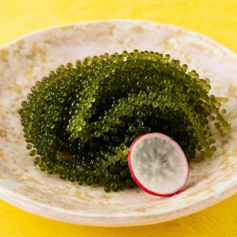 海ぶどう