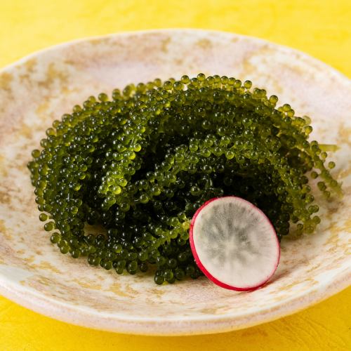 海ぶどう