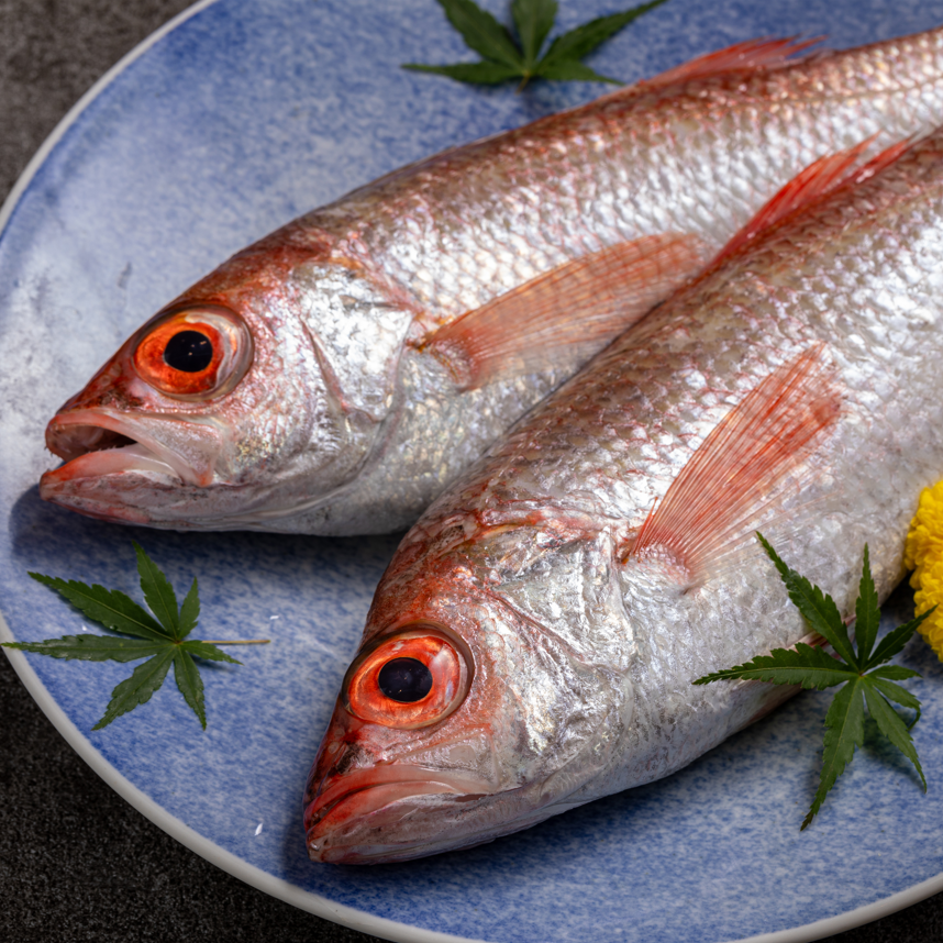 料理長が厳選する、旬の魚をお召し上がり下さい！