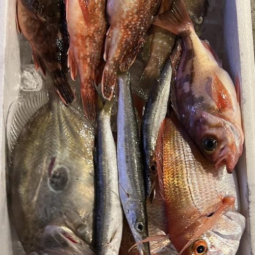 「富山湾直送」天然鲜鱼生鱼片