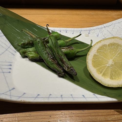 Grilled Shishito Peppers