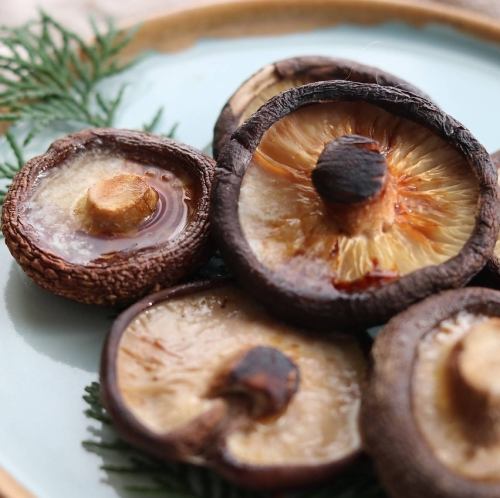 Grilled Shiitake Mushrooms