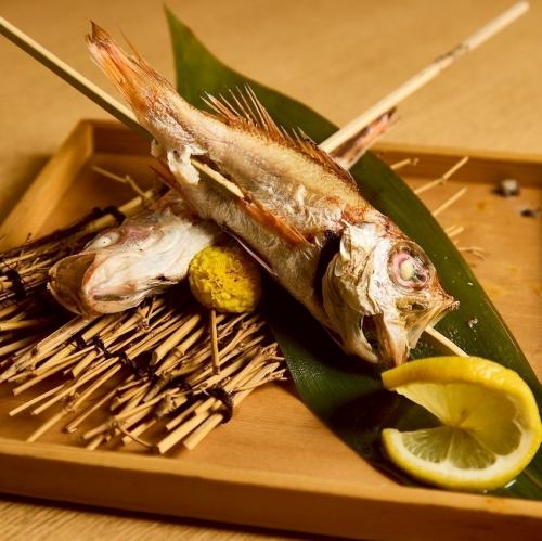 Grilled blackthroat seaperch