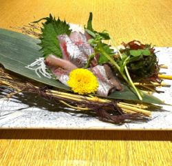 ≪旬の味覚≫マイワシの刺身