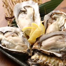 産地直送 生牡蠣 （1個）