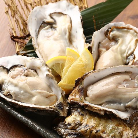 産地直送 生牡蠣 （1個）