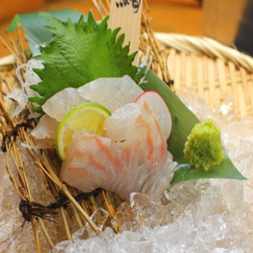 真鯛お刺身