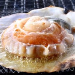 活大ハマグリの酒蒸し(１個)