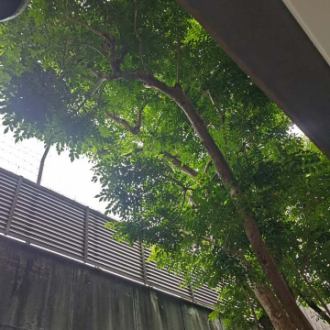 6月8日。ワイン会当