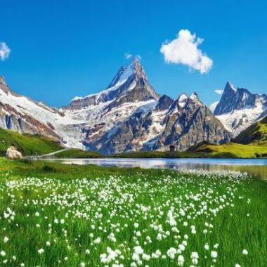 第48届周日葡萄酒派对将于2月1日（星期日）下午4:30举行。我们正在招募“春季首日盛宴——瑞士葡萄酒，惊艳美食家！”的参与者。