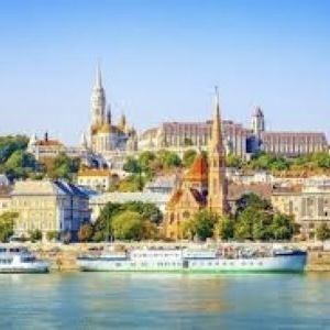 第49回日曜ワイン会桜花爛漫「来陽に交わす中央ヨーロッパの美学」参加者大募集!