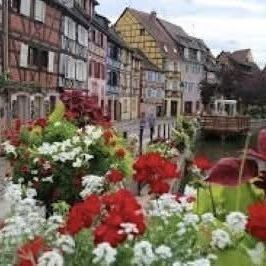 第50回日曜ワイン会祝8周年☆涼で潤すアルザスワイン☆参加者大募集！