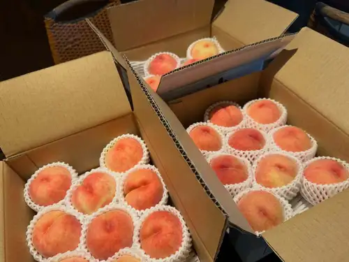 ピーチメルバ最新情報🍑
山形、福島、山梨、各地の桃が追熟待ちです。

その数、何と50玉。
台風の影響で、気温がガクンと下がり始める今。
メルバの需要も落ち気味となりますが。

ここだけで100食。
現、加工分30色位と潤沢です🩷

もう、今季は仕入れをストップしますので、あるだけ

私はこの夏、ひとりで何食仕込んだでしょうか？

今年、はじめて数を数えまして。
それだけ余裕なのか？否か？それゆら不明ですが。

想定よりも少ないのか多いのか？すら麻痺してわかりません。。

是非、食べに来て下さーい♪

今週はお天気優れないので、前日までの事前予約がない限り、雨の日はランチお休み予定です。

ご予定はお早目に計画下さい。
☎️0542510807

♯ルモマン静岡
♯静岡ワインバー
♯ワインとスイーツ
♯ピーチメルバ