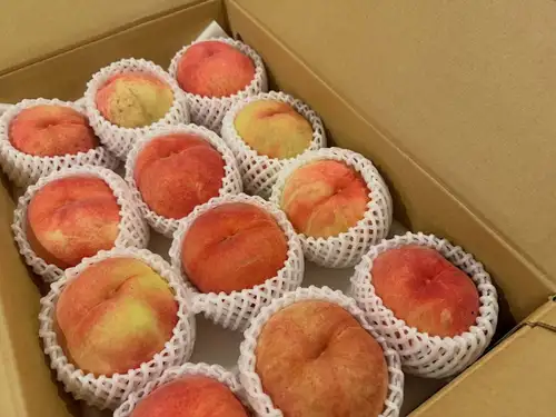 ピーチメルバ最新情報🍑
山形、福島、山梨、各地の桃が追熟待ちです。

その数、何と50玉。
台風の影響で、気温がガクンと下がり始める今。
メルバの需要も落ち気味となりますが。

ここだけで100食。
現、加工分30色位と潤沢です🩷

もう、今季は仕入れをストップしますので、あるだけ

私はこの夏、ひとりで何食仕込んだでしょうか？

今年、はじめて数を数えまして。
それだけ余裕なのか？否か？それゆら不明ですが。

想定よりも少ないのか多いのか？すら麻痺してわかりません。。

是非、食べに来て下さーい♪

今週はお天気優れないので、前日までの事前予約がない限り、雨の日はランチお休み予定です。

ご予定はお早目に計画下さい。
☎️0542510807

♯ルモマン静岡
♯静岡ワインバー
♯ワインとスイーツ
♯ピーチメルバ