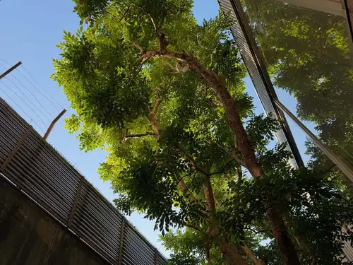 10月13日。火曜日。
雲ひとつない快晴☀️

秋晴れと言うより、夏日ですね^_^

本日、山奥まで実父に会いに行きましたが。
田舎の景色も、真夏日でした☀️

お年頃。
自身の体調共に、色んな事が重なって、気持ちが余り
元気ではありません。。

が。この雲ひとつない青空の様に澄み渡る気持ちになれたら良いなぁ。と久々に空模様。

毎度、話題が尽きない店主です🍷
夜な夜なしましょう🍷

きっと皆様を元気に出来るネタは豊富ですわ🍷

♯ルモマン静岡
♯静岡ワインバー
♯ワインとスイーツ
♯お年頃
♯50代の試練